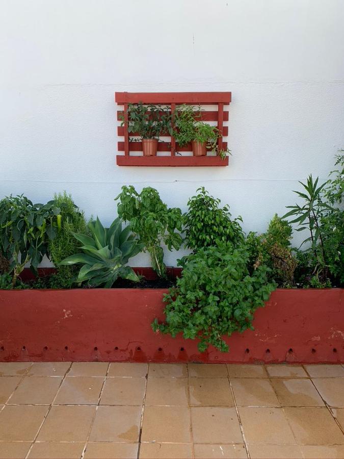 Ferienwohnung Atico La Ilusion Con Parking Sanlúcar de Barrameda Exterior foto